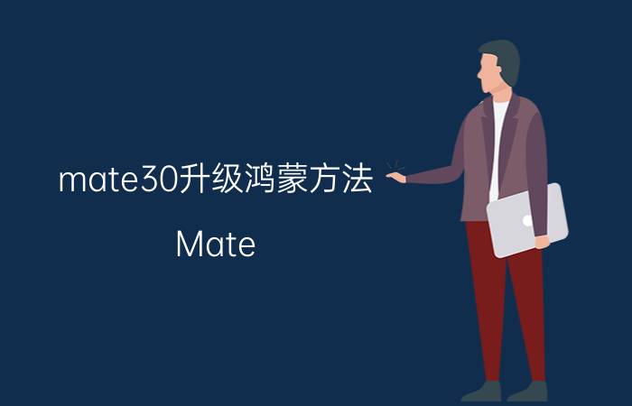 mate30升级鸿蒙方法 Mate 30鸿蒙系统升级方法